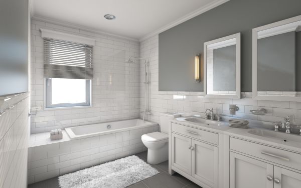 Cost of Restroom Remodeling in Lakeville
