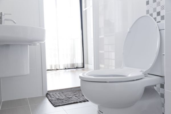Cost of Toilet Relocation in Lakeville