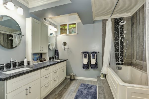 Basement Bathroom Remodeling in Lakeville